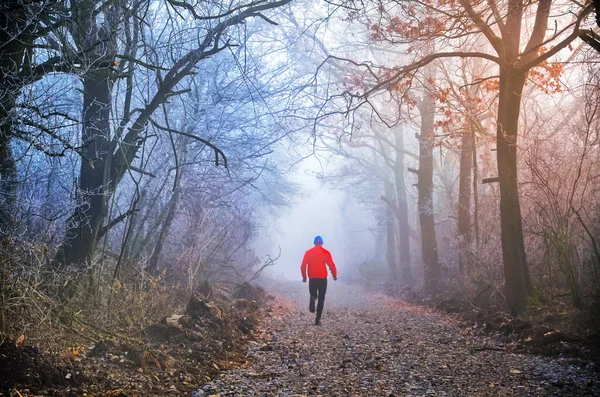 Les Jeunes Coureurs Courent Matin Dans Forêt Froide Hiver Matin — Photo