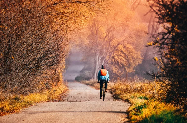 Giro Bicicletta Nella Natura Autunnale Carta Parati Colorato Sport Con — Foto Stock