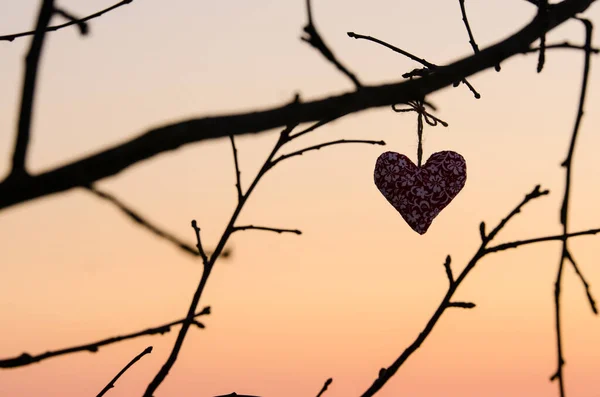 Silhouette Hausgemachter Herzen Der Natur Bei Ruhigem Wintersonnenuntergang Origineller Hintergrund — Stockfoto