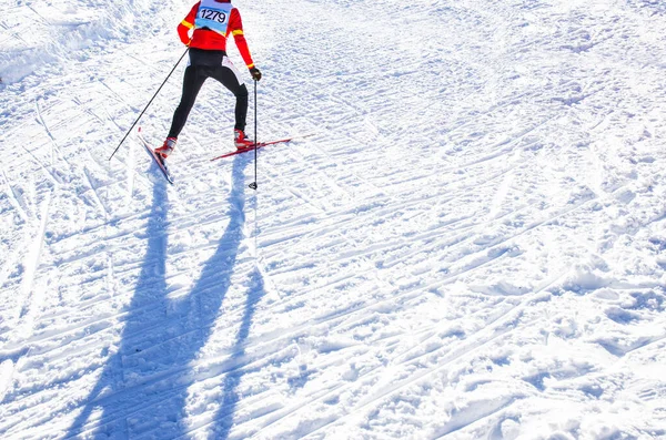 Nordic ski skier on the track in winter - sport active photo with space for your montage - Illustration picture for winter game