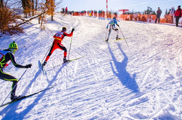 Nordic ski skier on the track in winter - sport active photo with space for your montage - Illustration picture for winter game