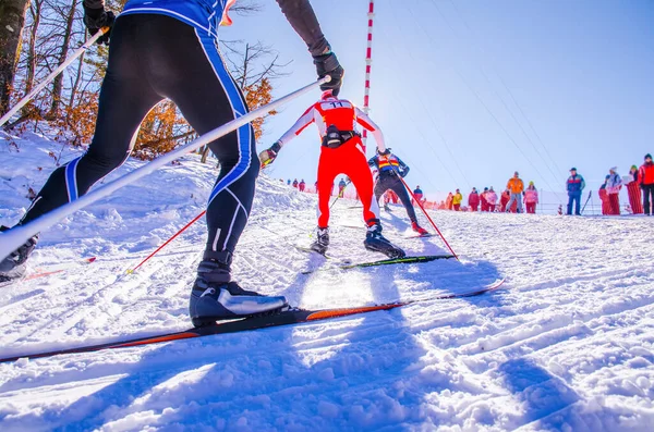 Nordic ski skier on the track in winter - sport active photo with space for your montage - Illustration picture for winter game