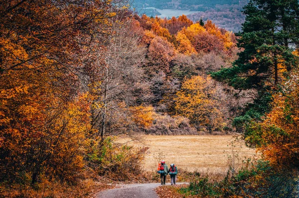 Barevný Podzimní Les Krásná Příroda — Stock fotografie