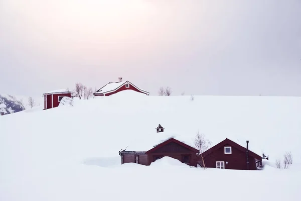 Çayırları Huş Ağaçlarıyla Pürüzlü Norveç Manzarası Skandinav Manzarasından Orijinal Duvar — Stok fotoğraf