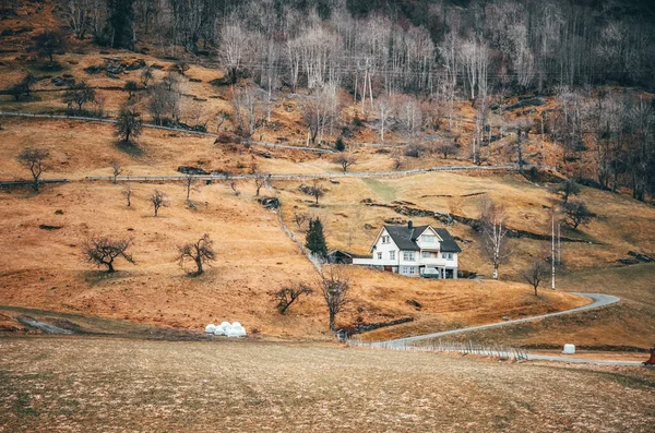 Çayırları Huş Ağaçlarıyla Pürüzlü Norveç Manzarası Skandinav Manzarasından Orijinal Duvar — Stok fotoğraf