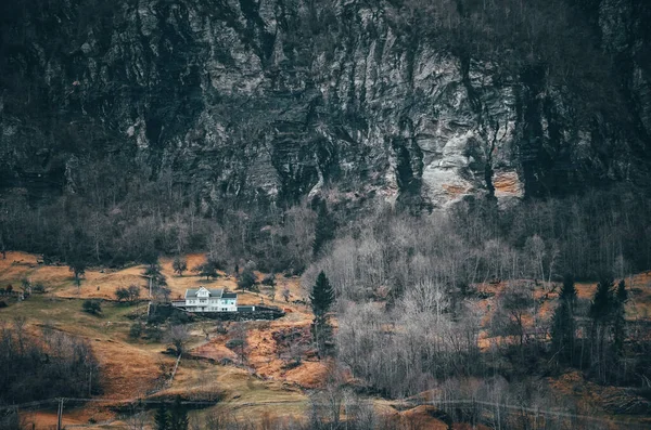 Paisagem Norway Áspera Com Prados Bétulas Papel Parede Original Paisagem — Fotografia de Stock