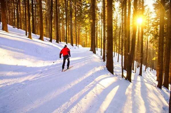 Esquiador Esqui Nórdico Pista Inverno Esporte Foto Ativa Com Espaço — Fotografia de Stock