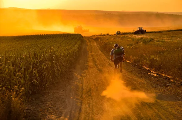 Jazda Rowerze Letniej Drodze Rolniczej Pełnej Złotej Pszenicy — Zdjęcie stockowe