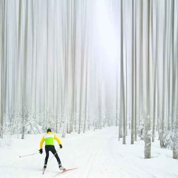 Nordic Narciarski Sport Białej Zimie Charakter — Zdjęcie stockowe