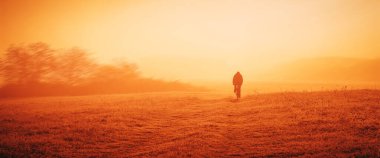Banner, web sayfası ya da kapak şablonu. Standart boy. Yazın gün batımında bisiklet süren bir adam tarım tarlasından geçer. Boşluğu ve panoramik oranı kopyala