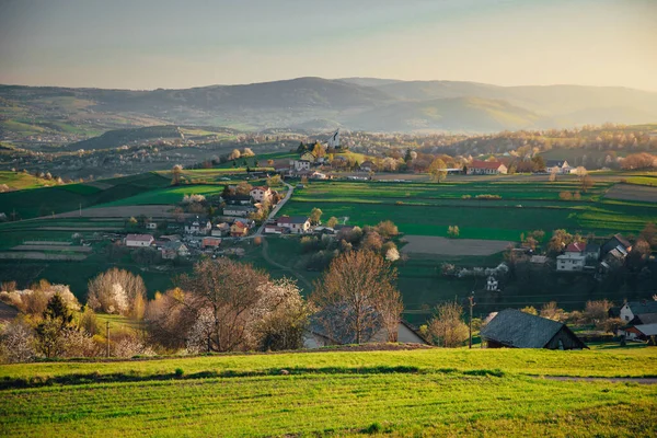 Spring in Slovakia. Meadows and fields landscape near Hrinova. Spring colored cherry trees at sunset