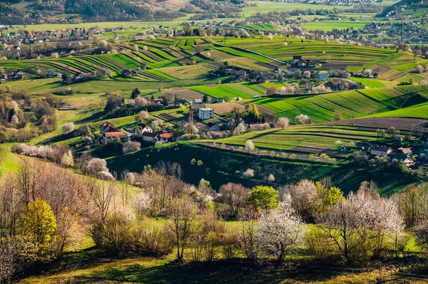 Majestoso Pôr Sol Paisagem Das Montanhas Céu Dramático Cárpatos Europa — Fotografia de Stock