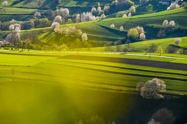 Toskánsko Toskánská Krajina Zvlněné Kopce Světle Západu Slunce — Stock fotografie