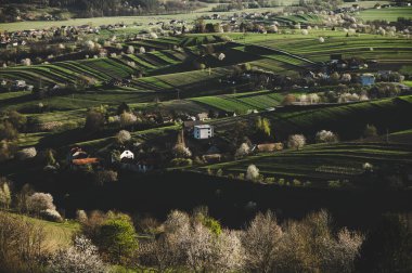 Çimenli ilkbahar kırsalında görkemli gün doğumu