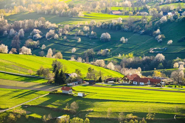 Villaggio Hrinova Nella Regione Slovacchia — Foto Stock