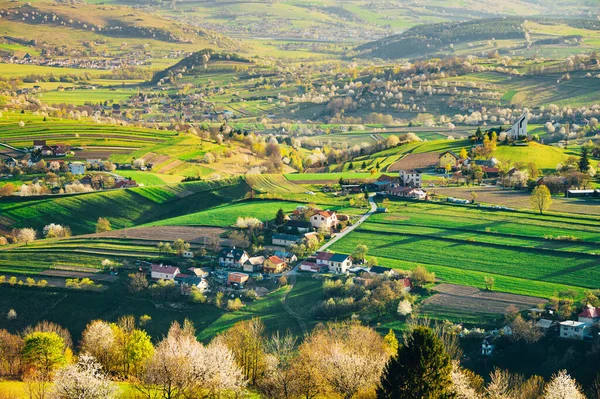 Printemps Dans Beau Paysage Agricole Des Champs Verts Pour Les — Photo