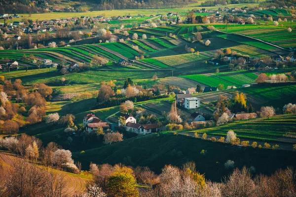 Frühling Der Slowakei Wiesen Und Felder Der Nähe Von Hrinova — Stockfoto