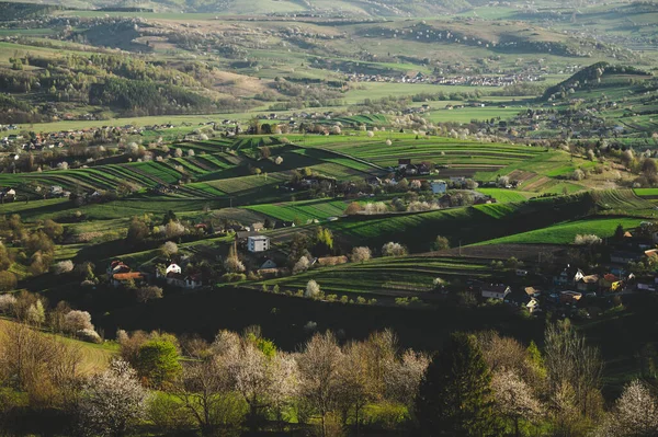 Село Гринова Словакии — стоковое фото