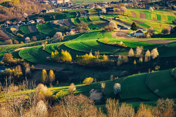 Frühling Der Slowakei Wiesen Und Felder Der Nähe Von Hrinova — Stockfoto
