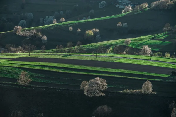Frühling Der Slowakei Wiesen Und Felder Der Nähe Von Hrinova — Stockfoto