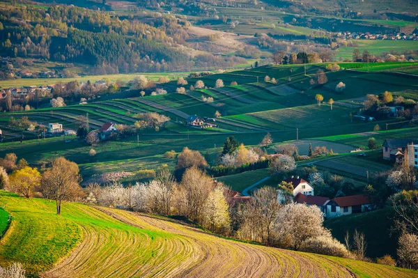 Herrlicher Sonnenaufgang Über Der Grasbewachsenen Ländlichen Frühlingslandschaft — Stockfoto