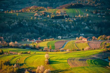 Bahar manzarasında sabah ışığı. Güzel yeşil kırsal tarım alanları, küçük evler, çiçek açan ağaçlar, sıcak gündoğumu ışığı. Slovakya, Avrupa