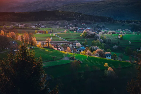 Luce Del Mattino Nel Paesaggio Primaverile Bellissimi Campi Agricoli Verdi — Foto Stock