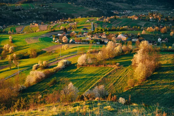 Luz Manhã Paisagem Primavera Campos Agrícolas Rurais Verdes Bonitos Casas — Fotografia de Stock