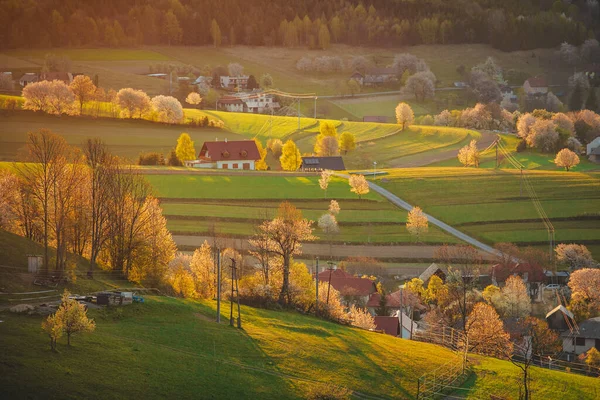 Ochtend Licht Het Voorjaar Landschap Mooie Groene Landelijke Landbouwvelden Kleine — Stockfoto