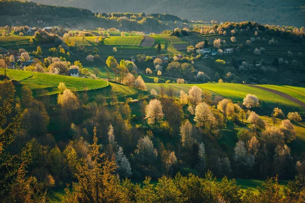 Majestätisk Solnedgång Fjällandskapet Dramatisk Himmel Karpaterna Europa Skönhetsvärlden — Stockfoto