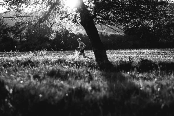黑白照片 春天森林里的小径跑步者 最后落日的光景 — 图库照片