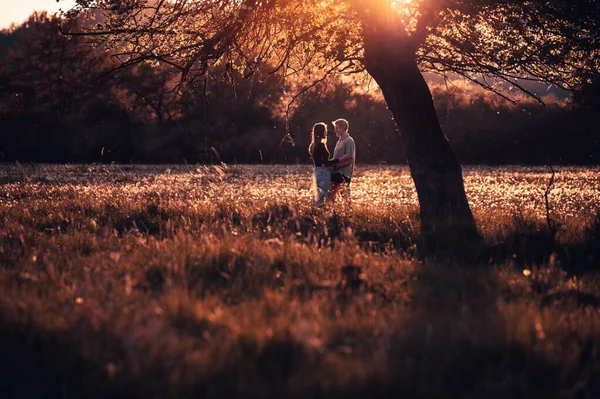 Couple Love Beautiful Sunset Light Standing Spring Meadow Full Dandelions — Stock Photo, Image