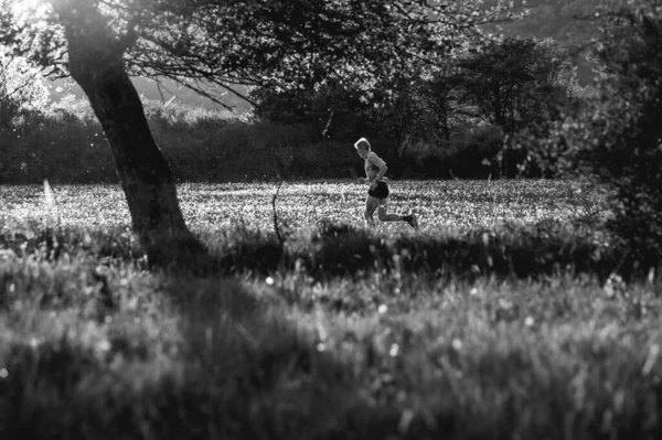 Photo Noir Blanc Sentier Coureur Athlète Entraîner Sur Prairie Dans — Photo