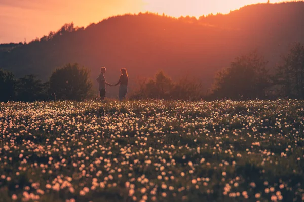 バレンタインや結婚はがき 愛のカップルは春の夜のタンポポの牧草地で日没の光で一緒に楽しみを持っています — ストック写真
