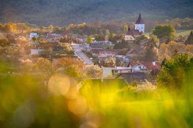İlkbahar akşamları köy. Gün batımı ışığı, çiçek ağaçları, sıcak renk tonu. Slovakya