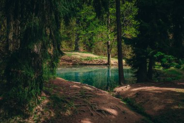Yeşil bahar ormanlarında gizlenmiş güzel mavi göl. Muhteşem sihirli manzara