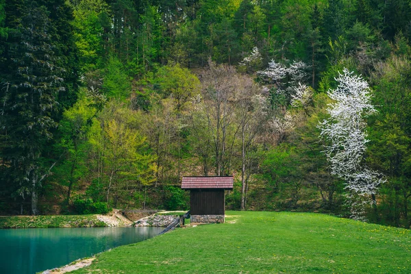 美しい春の緑の風景 小さな家と澄んだアルプスの湖 — ストック写真