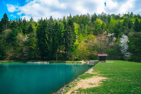 Bela Paisagem Verde Primavera Casa Pequena Lago Claro Banska Stiavnica — Fotografia de Stock