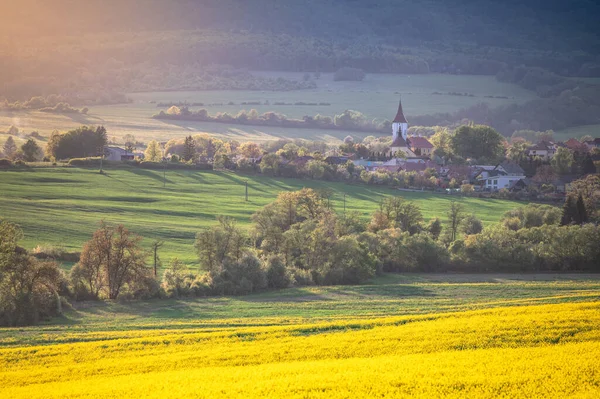 Satul Peisajul Agricol Primăvară Pot Timp Peisaj Însorit Biserică Copaci — Fotografie, imagine de stoc