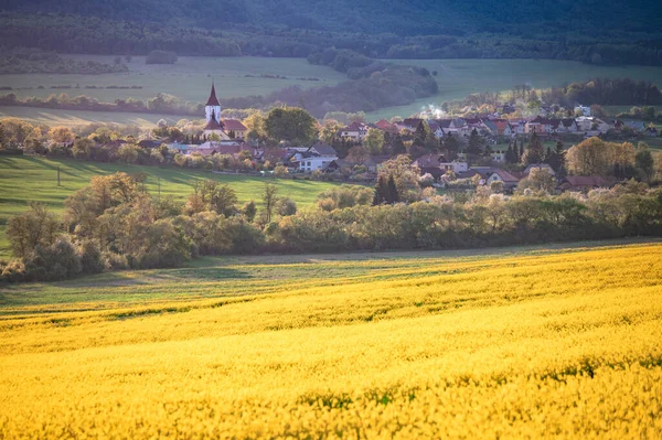 Žlutá Pole Řepky Olejné Malá Malebná Vesnice Pozadí — Stock fotografie