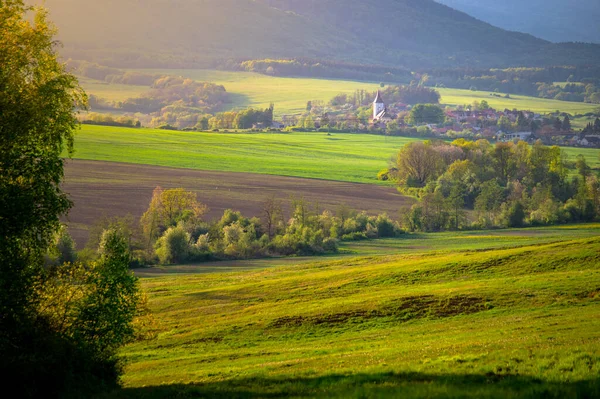 Villaggio Paesaggio Agricolo Primavera Può Tempo Paesaggio Soleggiato Chiesa Alberi — Foto Stock