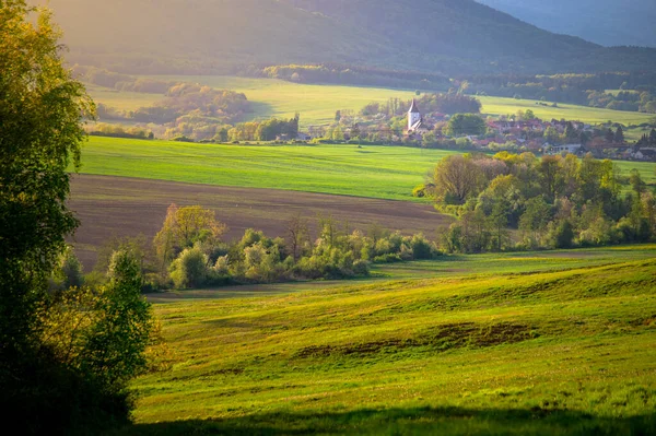 Village Paysage Agricole Printemps Mai Temps Paysage Ensoleillé Église Arbres — Photo