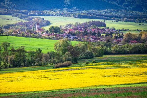 Vesnice Zemědělská Krajina Jaře Možná Slunečná Krajina Kostel Stromy Zelená — Stock fotografie