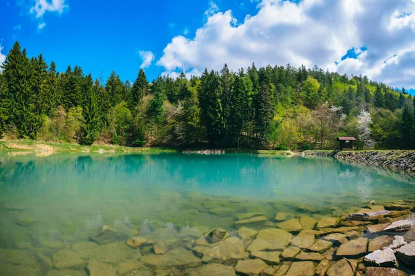 Tyrkysová Barva Vody Průzračném Jarním Jezeře Slunečného Dne Nádherná Krajina — Stock fotografie