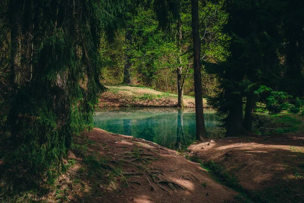 Голубое Озеро Спрятано Зеленом Весеннем Лесу Чудесный Волшебный Пейзаж — стоковое фото