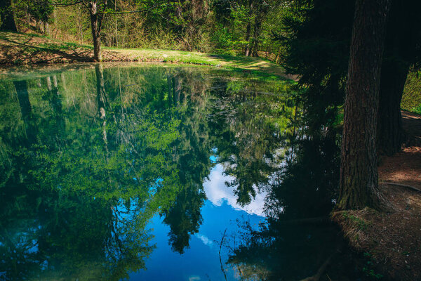 Small lake in wild green forest. Wilderness place, water and green spring nature