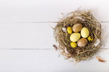 Beyaz ahşap arka planda renkli paskalya yumurtaları olan yuva