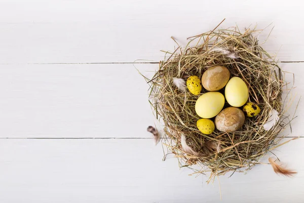 nest with colored easter eggs on white wooden background