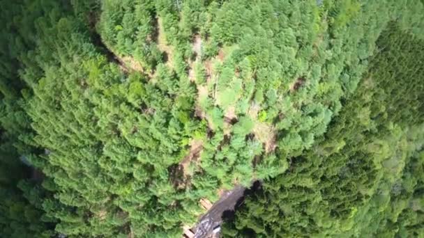 Images d'un bois intact de l'est de Hokkaido, prises par une caméra de drone. Nature abondante pittoresque de Hokkaido au printemps. Images de drones d'une forêt verte naturelle à Hokkaido, Japon 