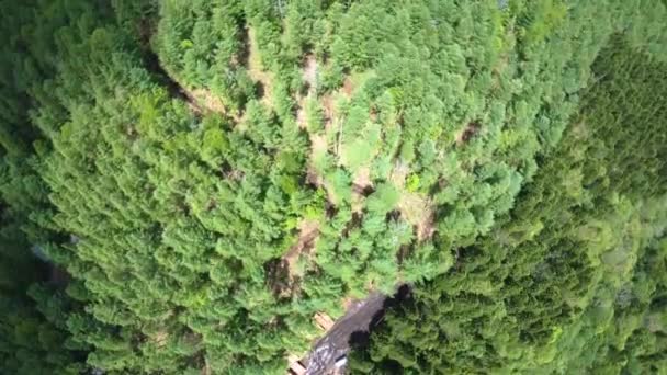 Footage Untouched Woods Eastern Hokkaido Taken Drone Camera Picturesque Abundant — Stock Video